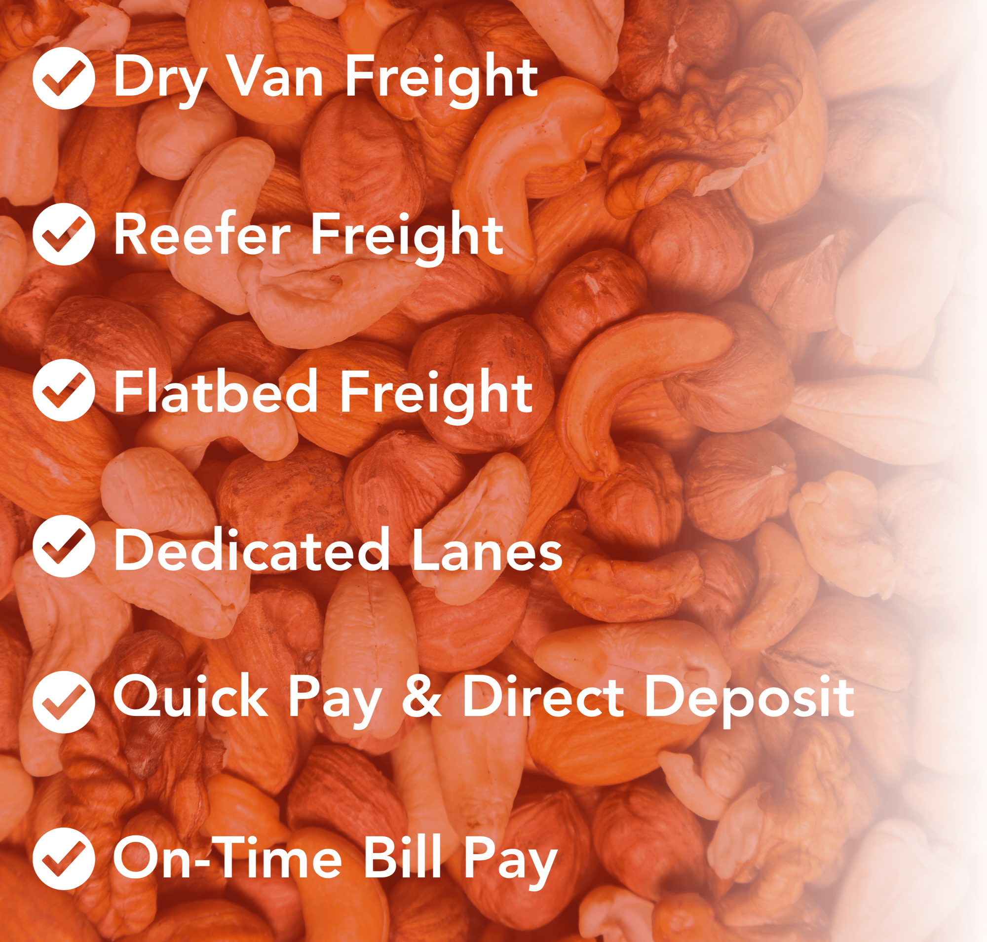 Sims One Pager (4)-1