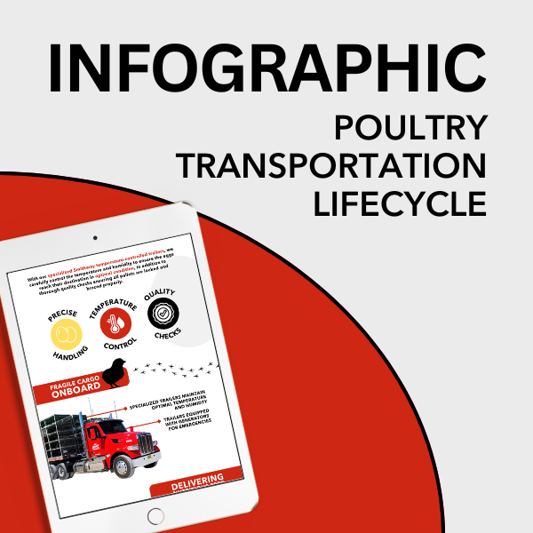 Lifecycle Infographic Thumbnail (1)