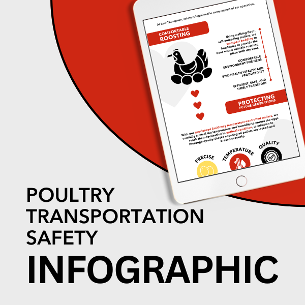 Safety Infographic Thumbnail (1)